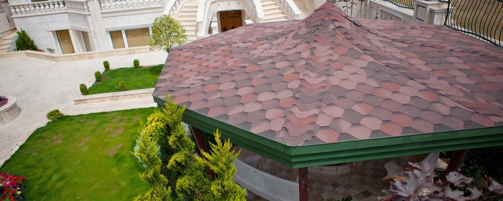 gibkaya-cherepica-ajko-iko-shotormshild