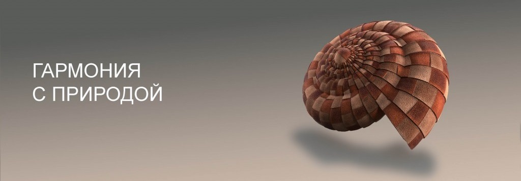 Gibkaya cherepica katepal