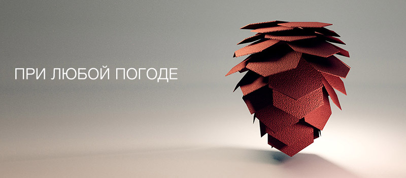 gibkaya-cherepica-katepal-katrilli