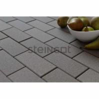 Плитка тротуарная Steingot, прямоугольник, цвет: серый (верхний прокрас, минифаска), 200х100х60 мм