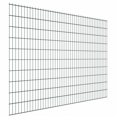 Сетчатый забор ограждение 3D Bastion 5/6 2.03x2.5m RAL 6005