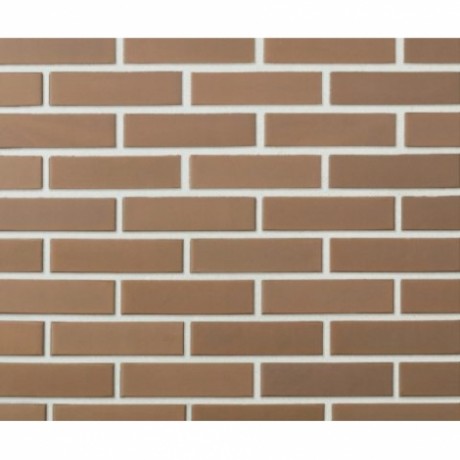 Кирпич Lode Rudis керамический 250x120х65 мм, пустотелый