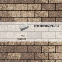 Плитка тротуарная Выбор, прямоугольник, листопад, 200x100x60 мм, 2П.6 Хаски