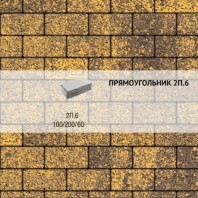 Плитка тротуарная Выбор, прямоугольник, листопад, 200x100x60 мм, 2П.6 Янтарь