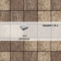 Плитка тротуарная Выбор, квадрат, листопад гранит, 200х200х60 мм,2К.6 Хаски