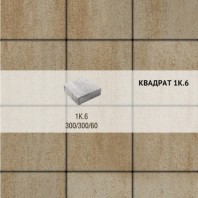 Плитка тротуарная Выбор, квадрат, искусственный камень, 300х300х60 мм, 1К.6 Степняк