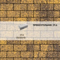 Плитка тротуарная Выбор, прямоугольник, листопад гранит, 200x100x60 мм, 2П.6 Янтарь
