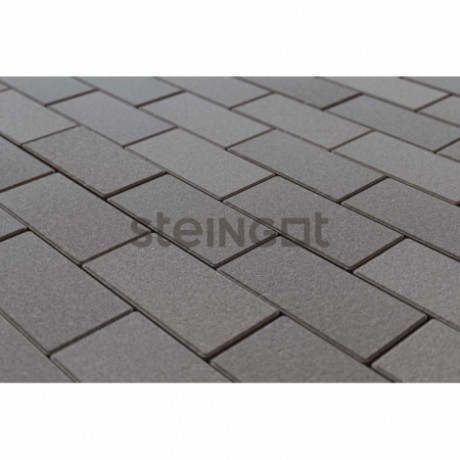 Плитка тротуарная Steingot, прямоугольник, цвет: серый (верхний прокрас, минифаска), 200х100х60 мм