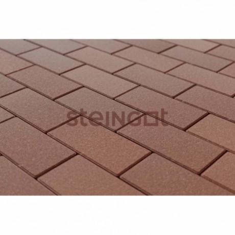 Плитка тротуарная Steingot, прямоугольник, цвет: коричневый (верхний прокрас, минифаска), 200х100х60 мм